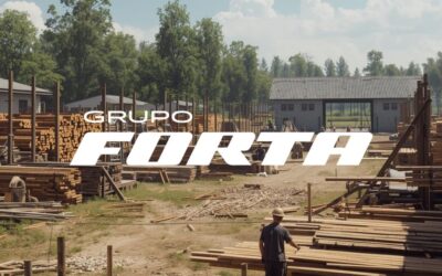 Guía rápida: cómo usar el adhesivo carpintero correctamente