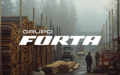 Top 5 productos Forta que todo taller debería tener
